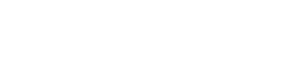 ameleo-start ameleo-start